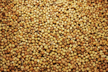 Image showing coriander seeds 