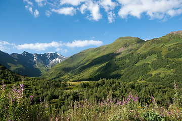 Image showing Georgia mountain