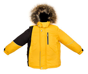 Image showing Warm jacket isolated