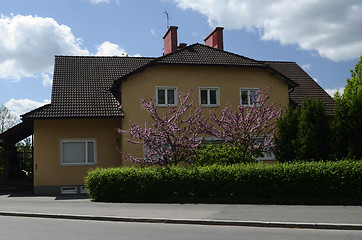 Image showing stone house and two blooming apple trees