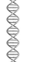 Image showing the dna helix