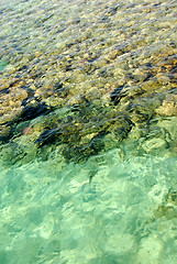 Image showing Red sea surface