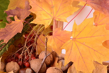 Image showing autumn chestnuts on wooden background and blank paper card