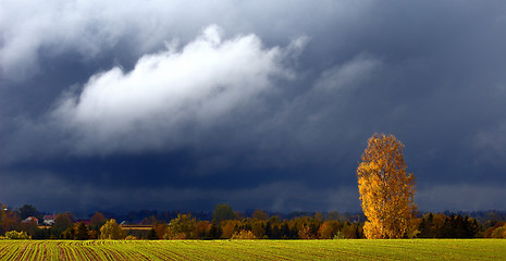 Image showing autumn weather