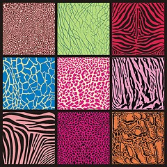 Image showing Abstract Set Of Camouflage African Animals