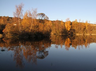 Image showing Autumn forest 