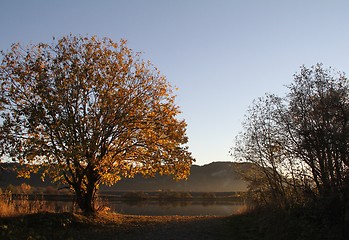 Image showing Autumn in Trøndelag