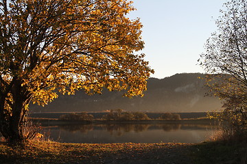 Image showing Autumn in Trøndelag