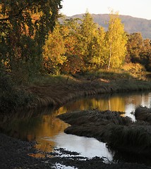 Image showing Autumn by the river Gaula