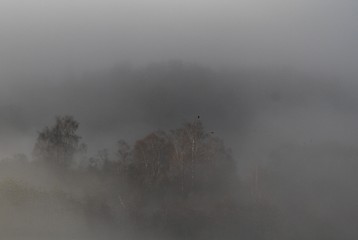 Image showing Landscape with fog