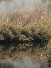 Image showing River landscape