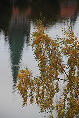 Image showing Trondheim in autumn