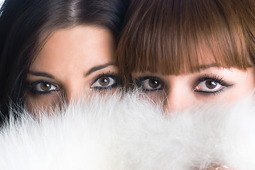 Image showing Attractive girls dide behind white fur