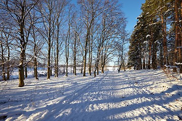 Image showing Winter Park