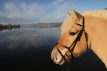 Image showing Norwegian fjord