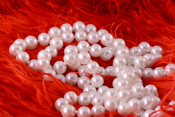 Image showing Pearl necklace on luxury red fir background