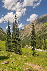 Image showing Tian-Shan in Kyrgyzstan
