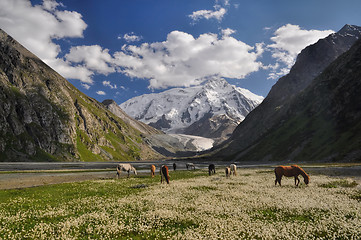 Image showing Tian-Shan in Kyrgyzstan