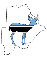 Image showing Botswana antelope