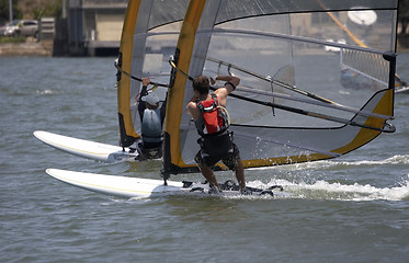 Image showing Racing Sailboarders