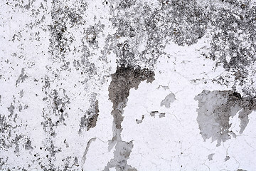 Image showing White mortar wall texture.