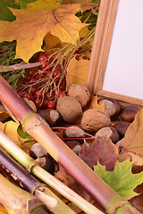 Image showing viburnum and chestnut on vintage wooden boards background autumn concept