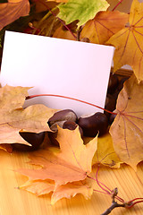 Image showing background with paper sheet and autumn leaves