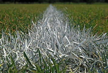 Image showing Closeup of boundary line on a football field