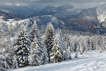 Image showing Winter Landscape