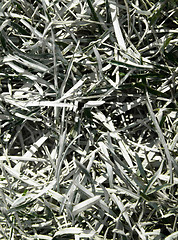 Image showing Painted grass on a playing field