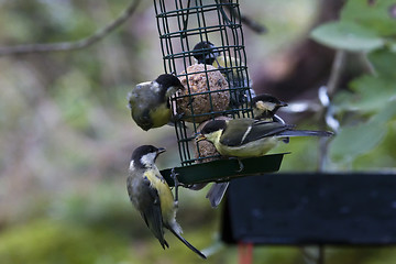 Image showing dinnertime