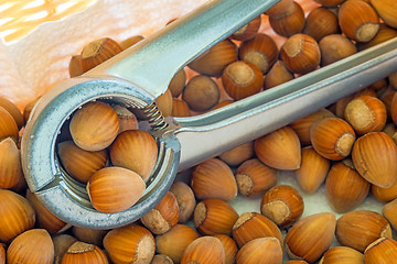 Image showing hazelnuts