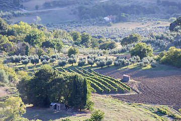 Image showing Sunset landscape Tuscany