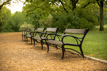 Image showing Stylish bench in autumn park