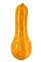 Image showing Pumpkin over white background