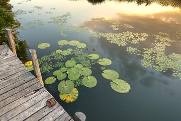 Image showing Peaceful place at the pond