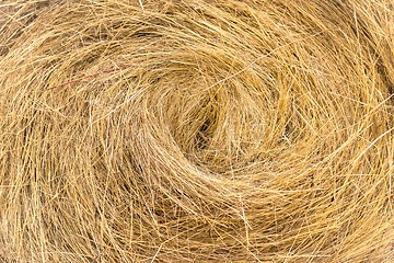 Image showing Hay bails on the field