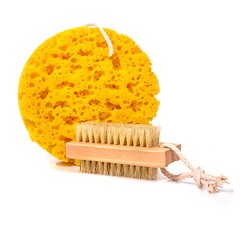 Image showing Synthetic bath sponge