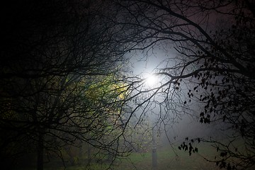 Image showing Creepy park at night with illumination