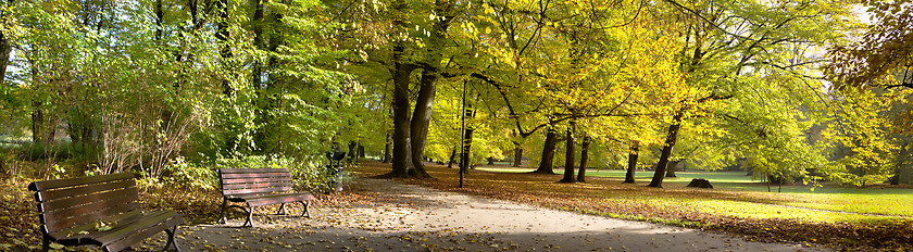 Image showing Fall in public park