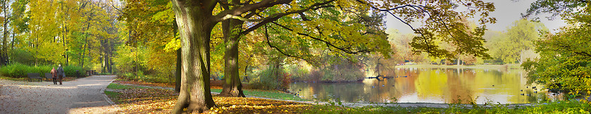 Image showing autumnal pond in park