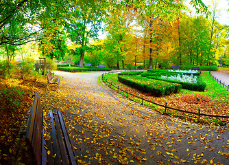 Image showing Fall in public park