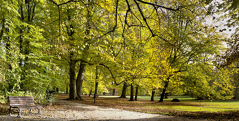 Image showing Fall in public park