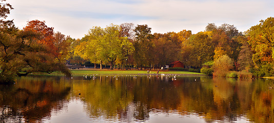 Image showing autumnal pond in park