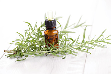 Image showing rosemary essential oil