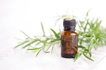 Image showing rosemary essential oil