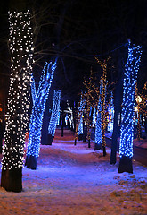 Image showing The lights in winter park