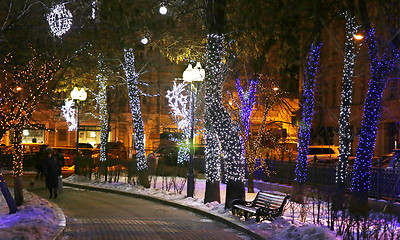 Image showing The lights in winter park