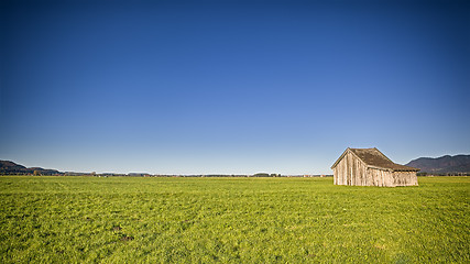 Image showing autumn scenery