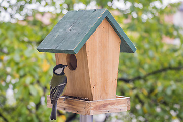 Image showing Birds Titmouse